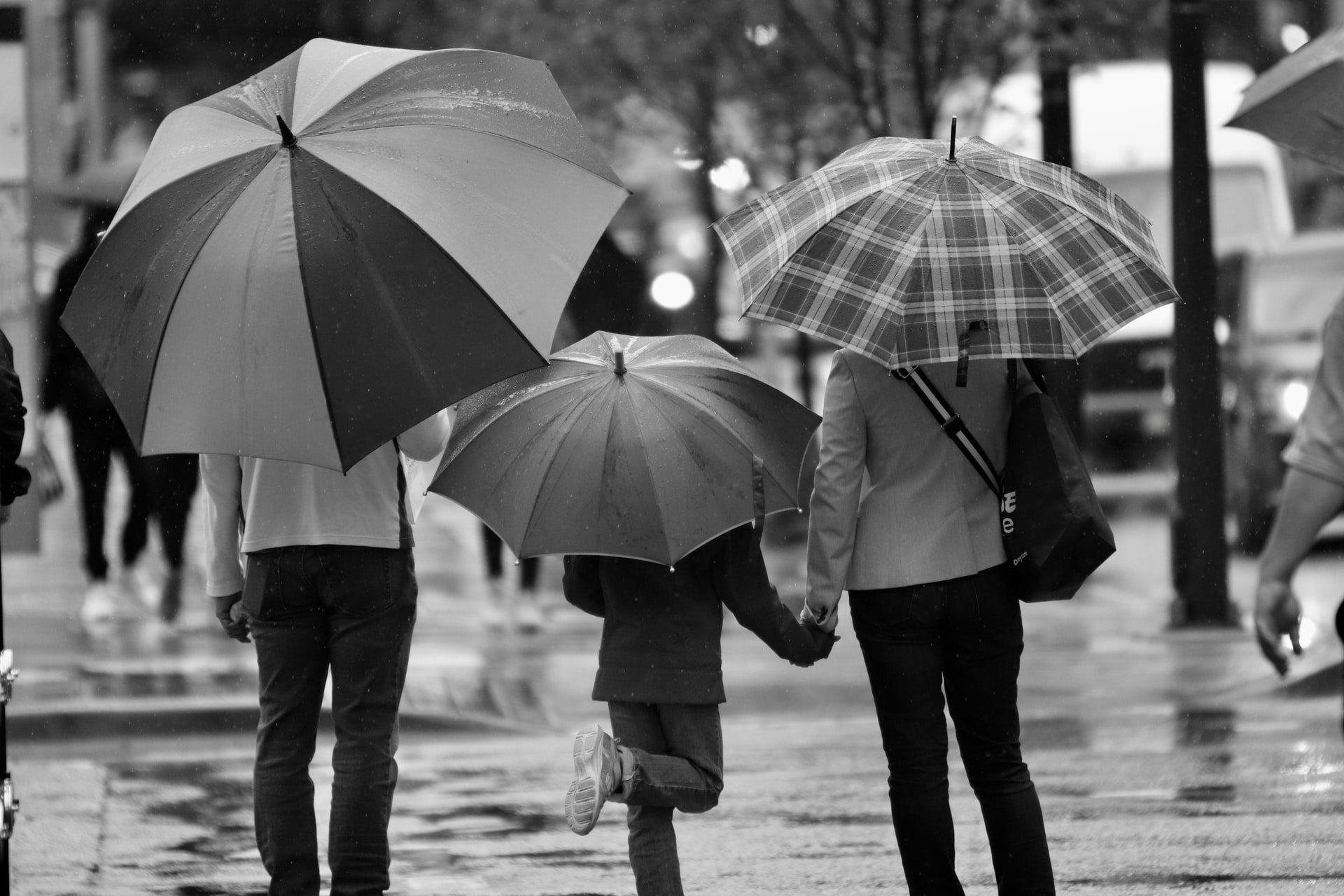 A black and white photograph of two adults and a child facing away from the camera underneath large umbrellas