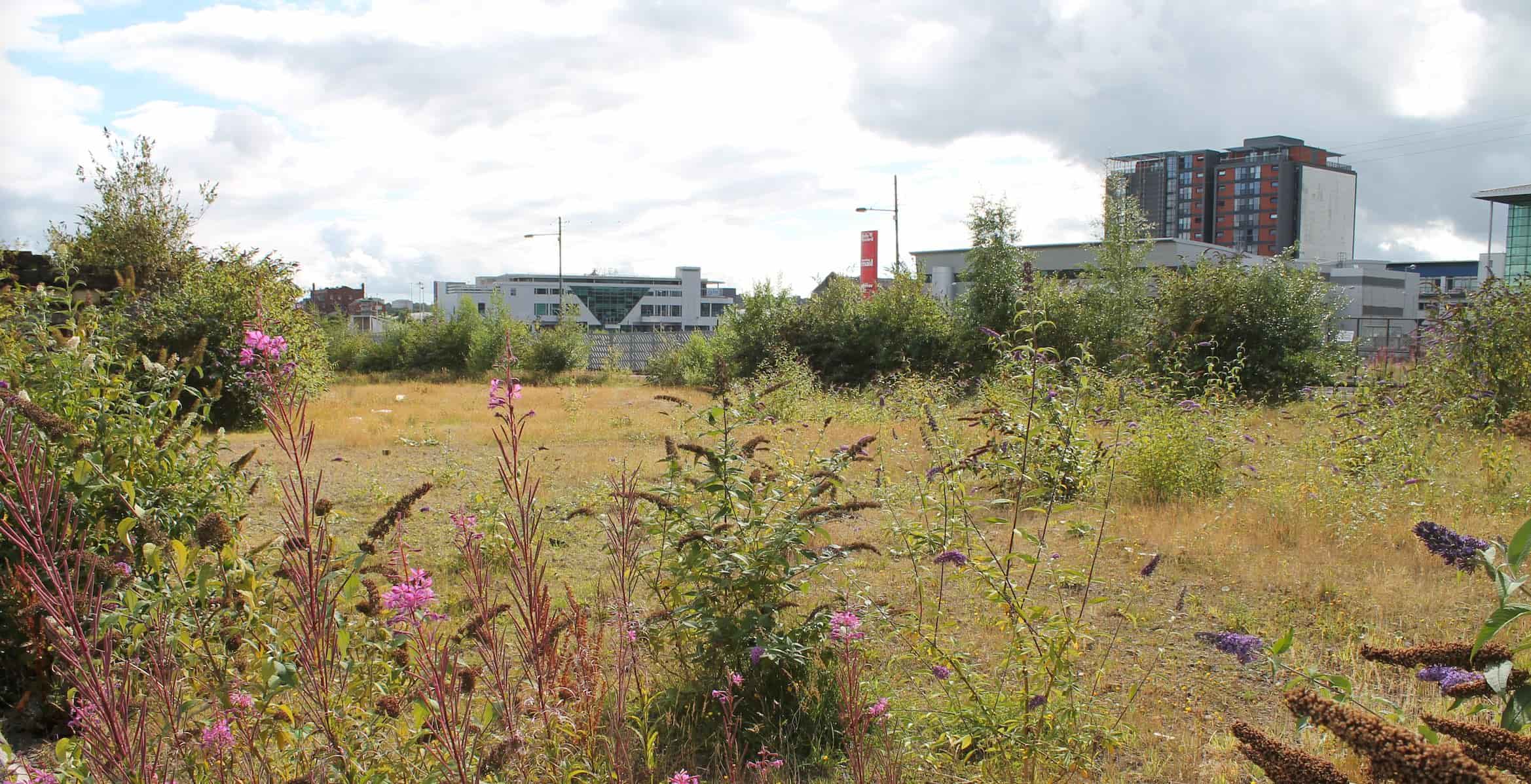 Vacant plot of land surrounded by flowers, bushes, grass and buildings around it.