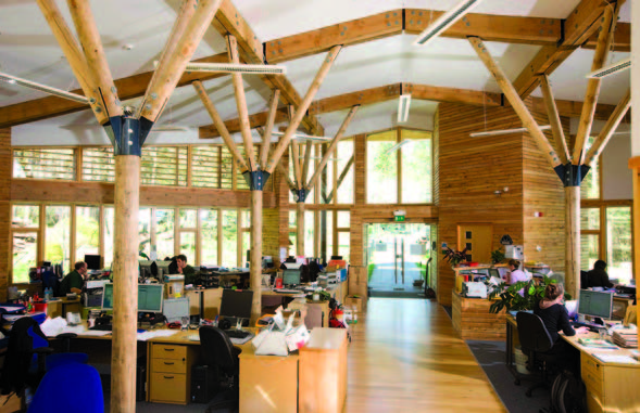 An open plan work space in the Forestry commission district office with pillars that looks like tree branches.