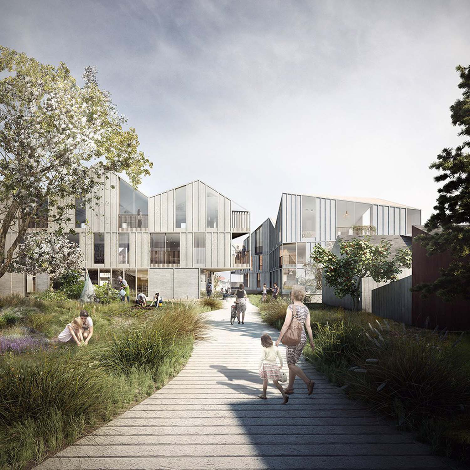 An architectural graphic of a long and winding stone path that leads people towards a modern three-storey housing concept in Drobak, Norway.