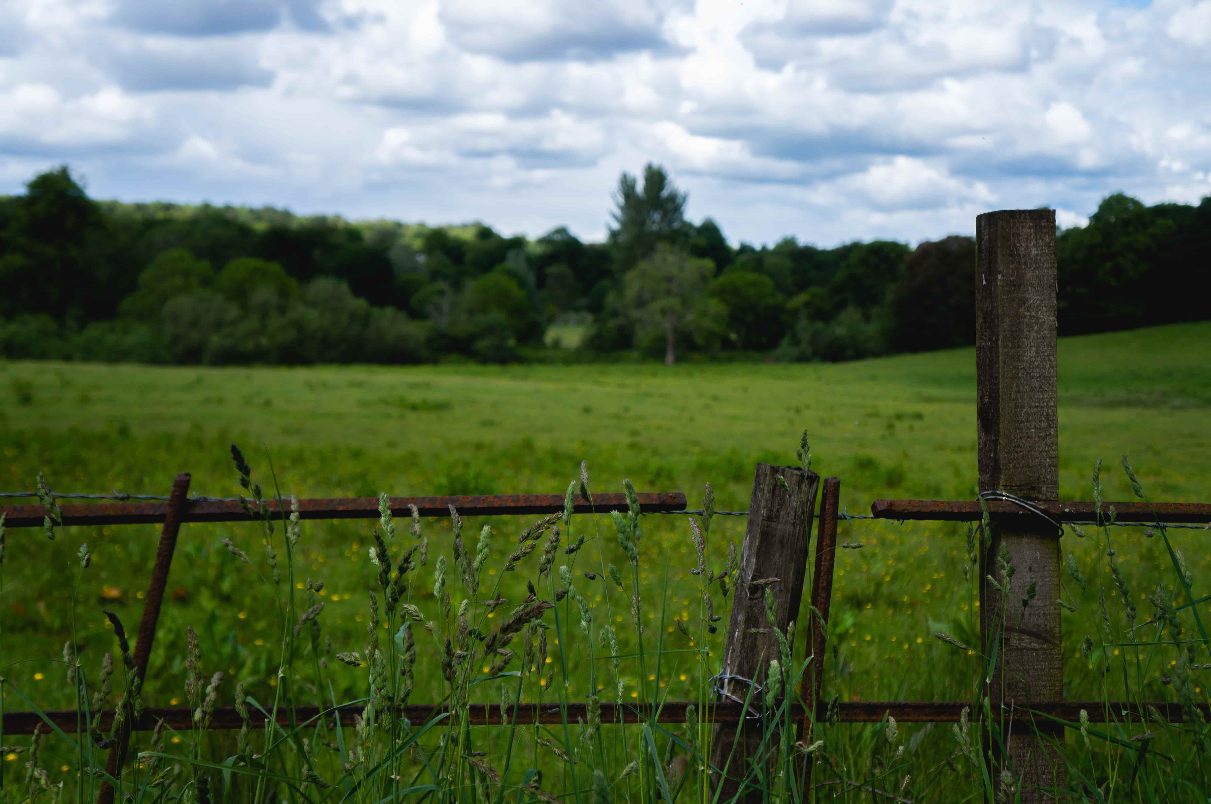 A view of an empty green field on a cloudy day with a fence in the foreground.